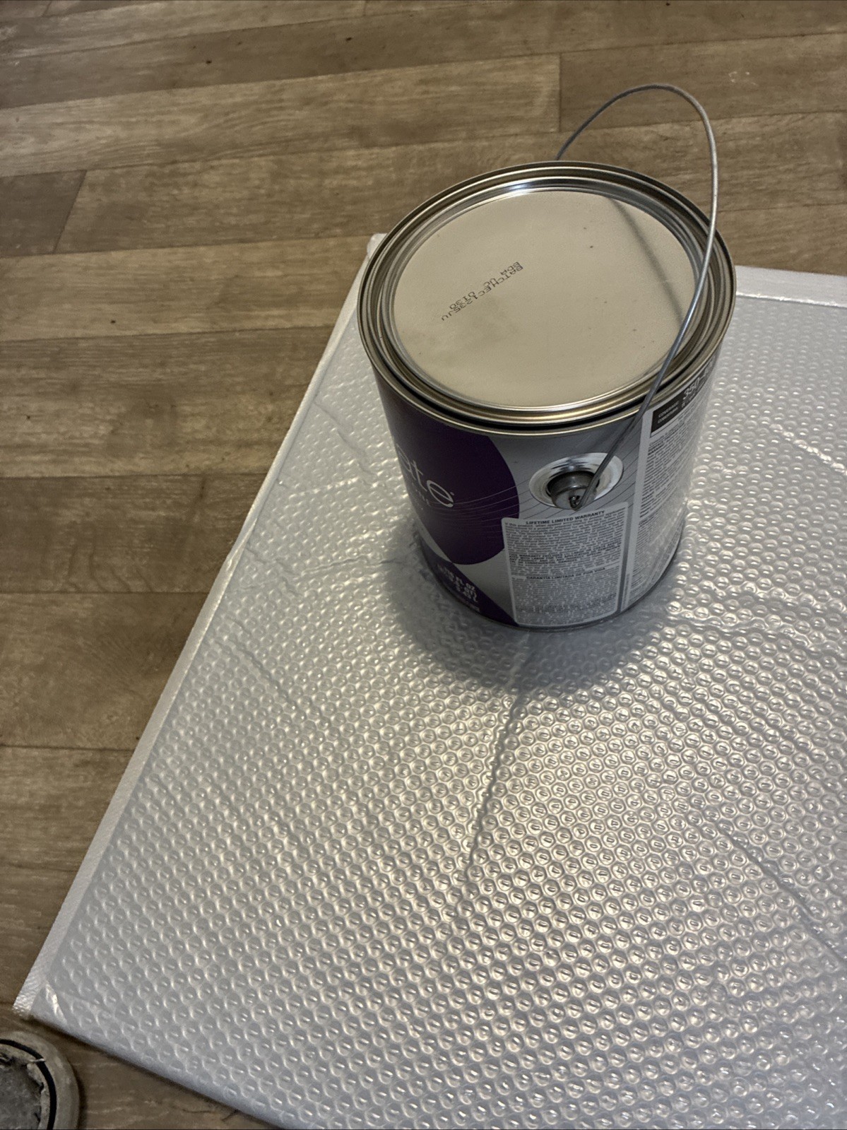 Captivate Paint & Primer In One C8 T 54
