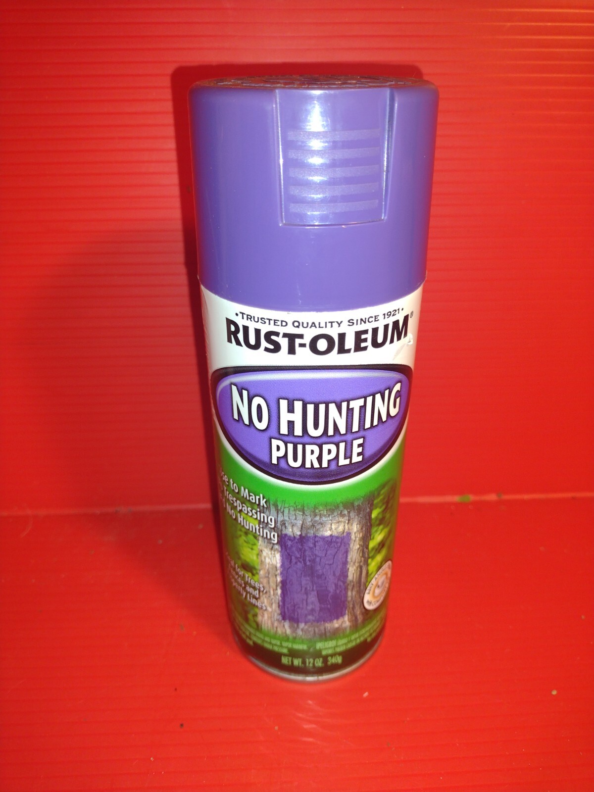 Rust-Oleum- No Hunting Purple -Spray Paint- 12 oz