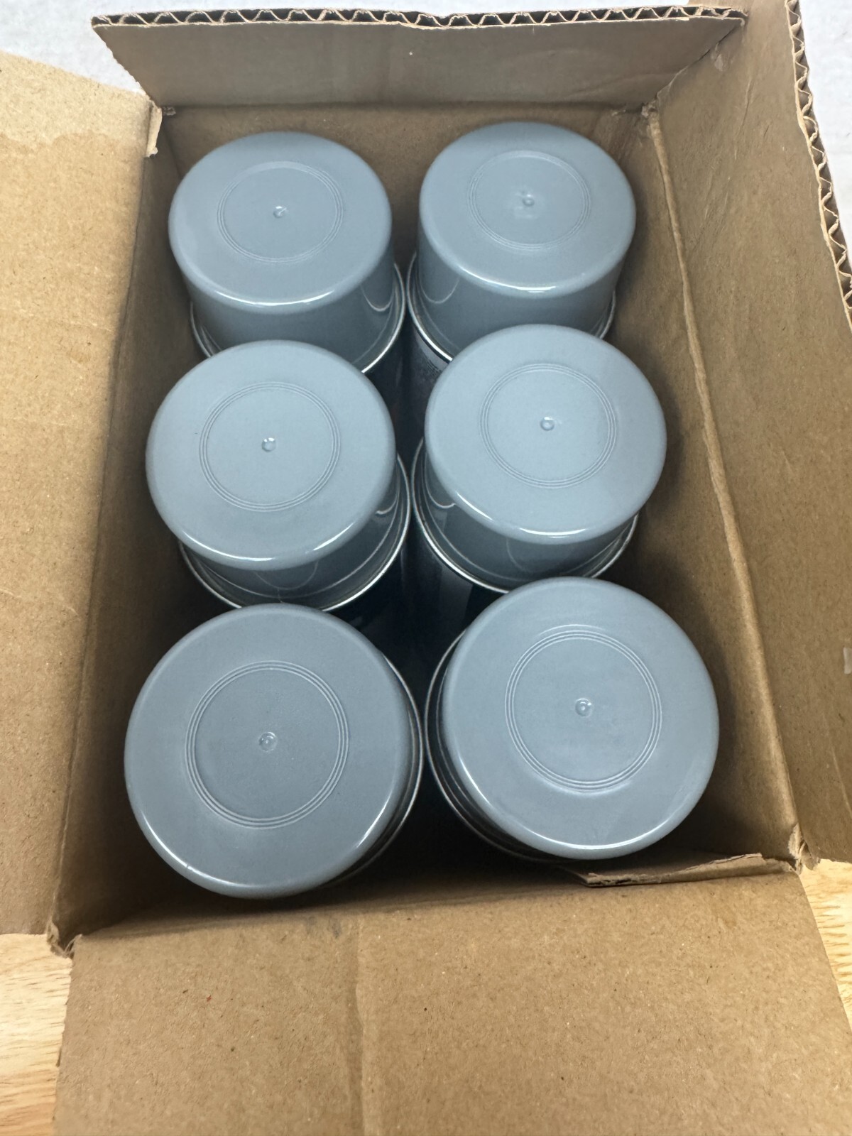 Krylon Rust Tough (6Pack) – Preventative – Primer Spray Paint, Meter Gray 15 oz.