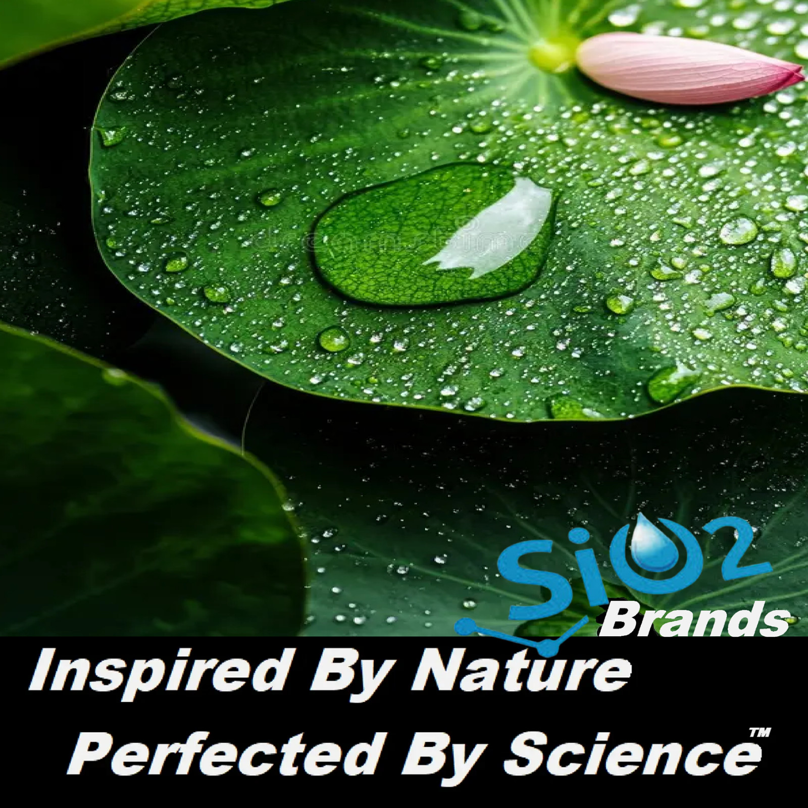 PAINT ADDITIVE CERAMIC PROTECTION FOR ALL ACRYLIC/LATEX PAINTS