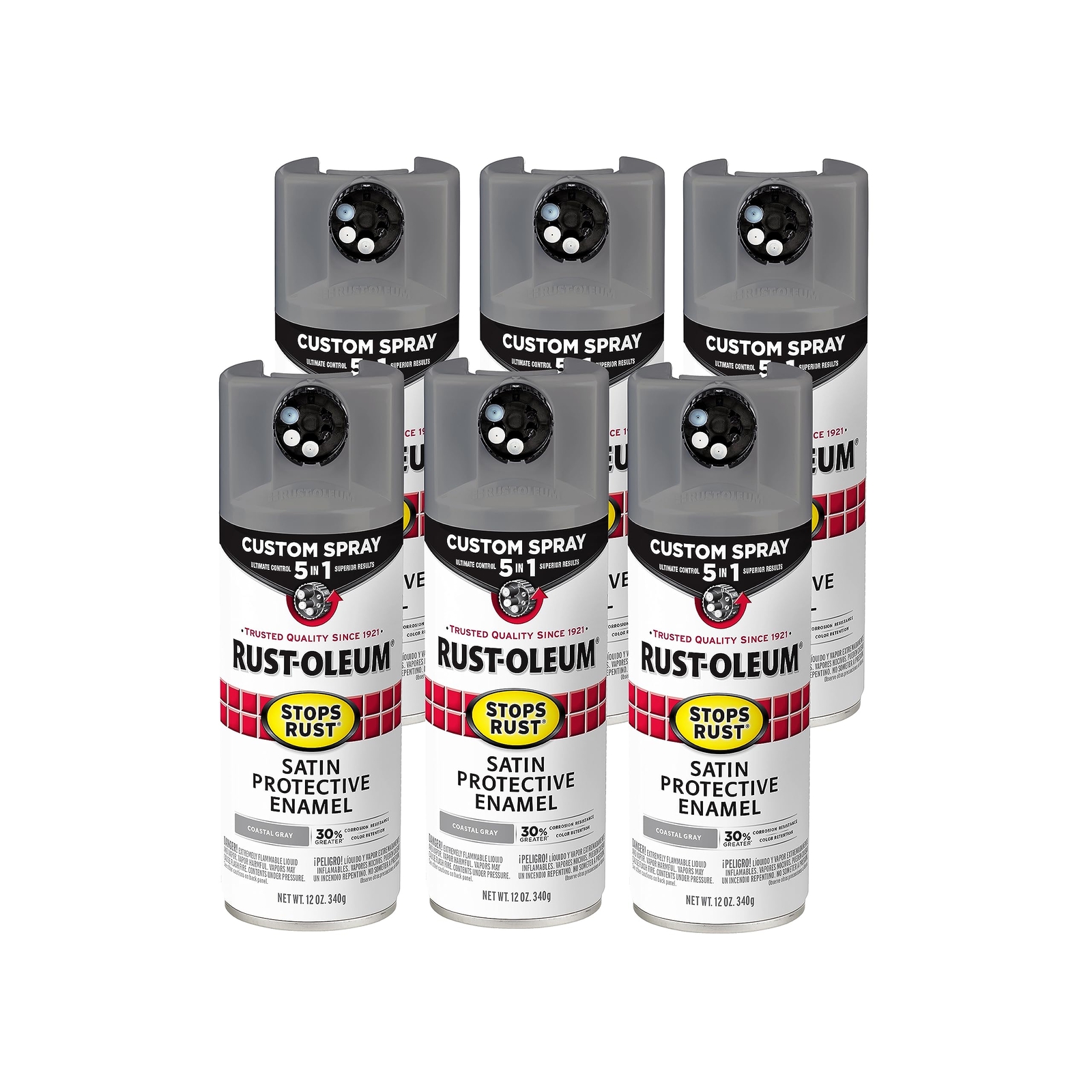 Rust-Oleum 5 in 1 Indoor/Outdoor Satin Gray Oil-Based Oil Modified Alkyd