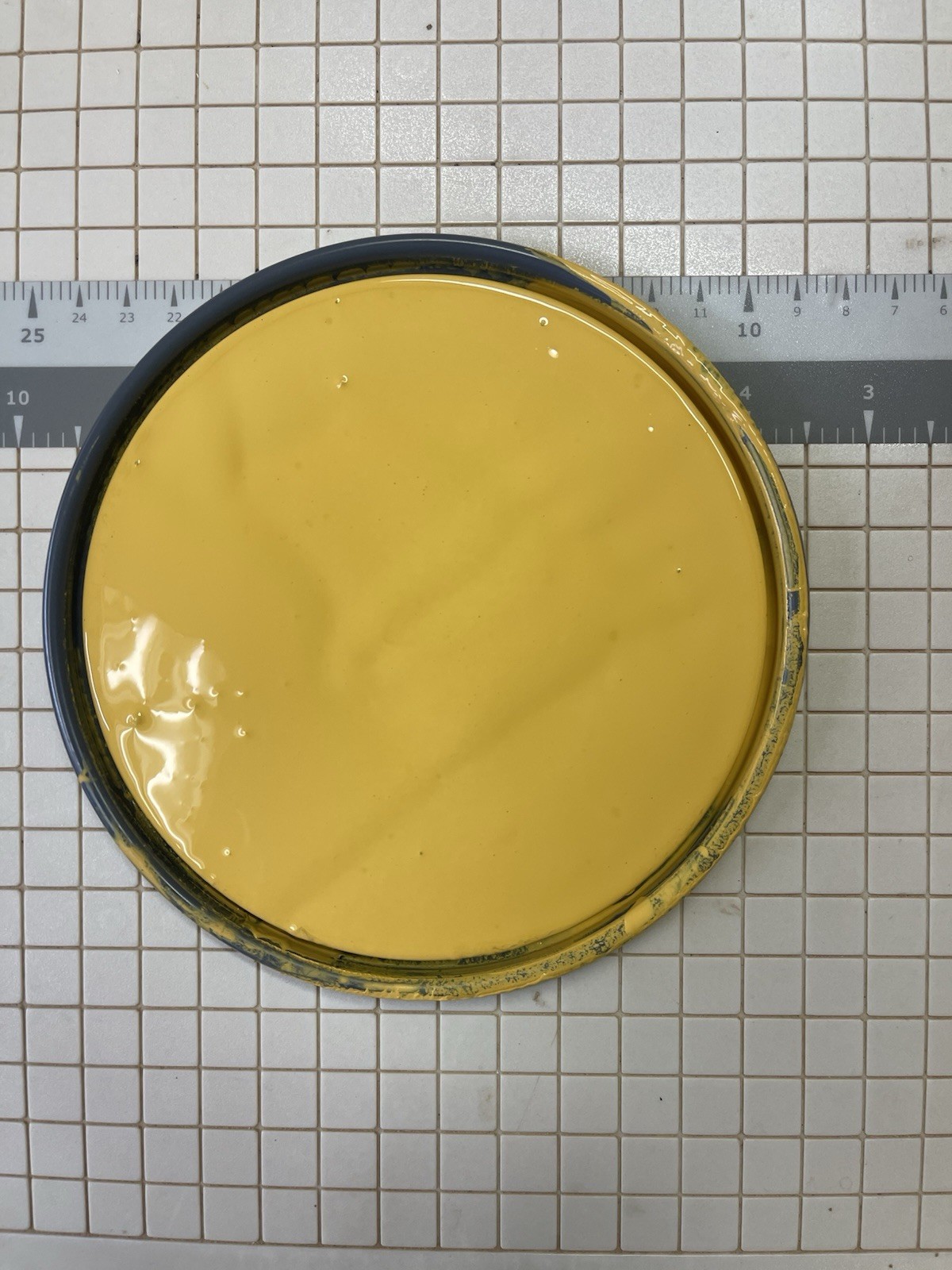 1 Gal. Sherwin Williams A-100 Exterior Flat Acrylic Paint/Buttercup Yellow