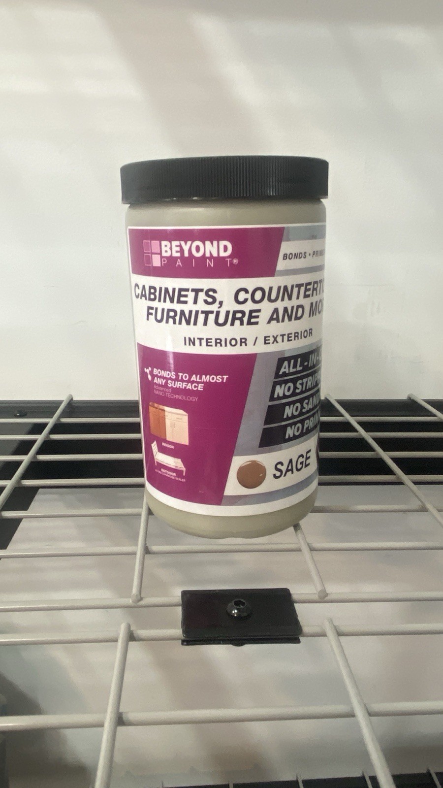 Beyond Paint Sage 1 Quart Interior/exterior All In One