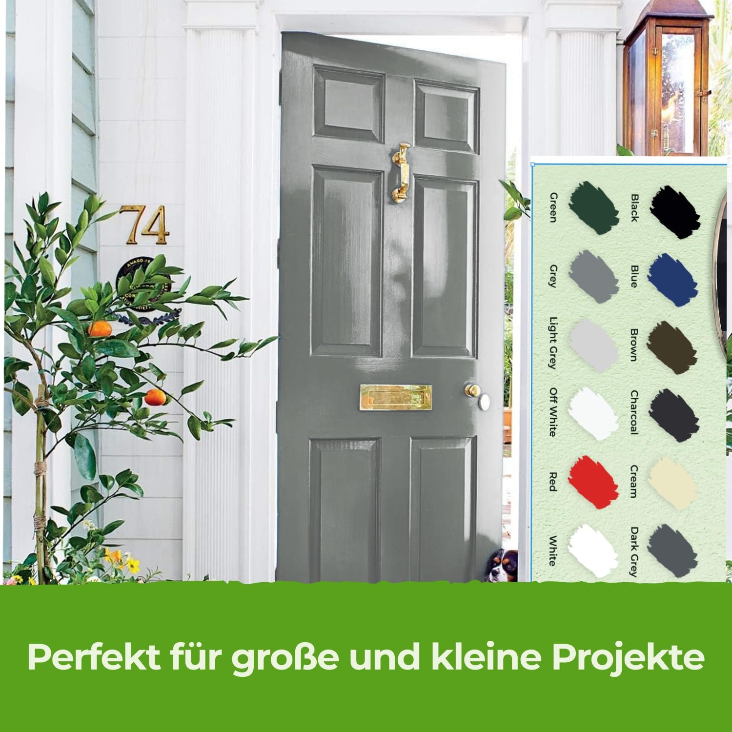 The One – 8.5 Fl Oz/250Ml 1 Coat Decorating For Walls Voc