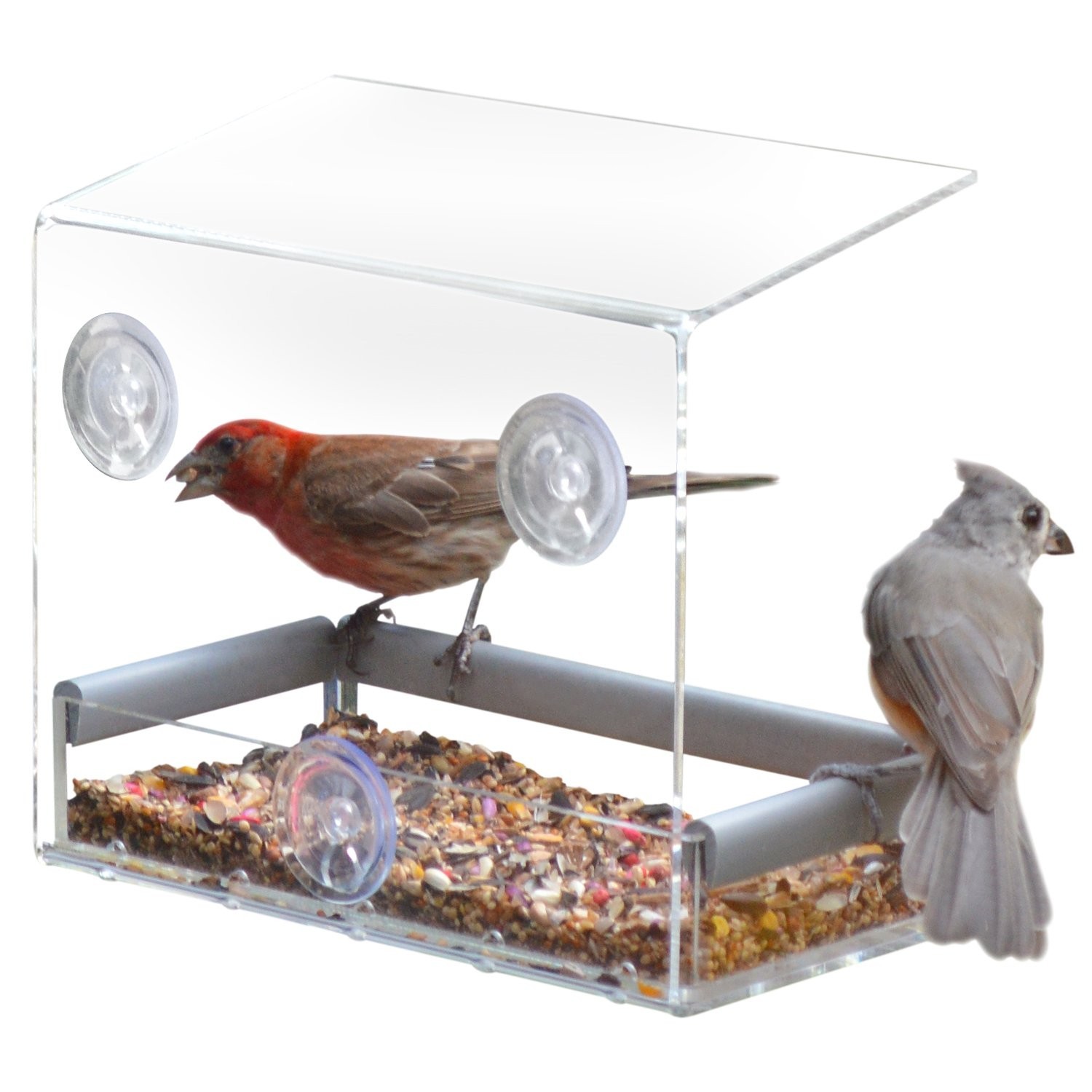 PetFusion Tranquility Window Bird Feeder in Premium Lucite Acrylic. (I) Remov…