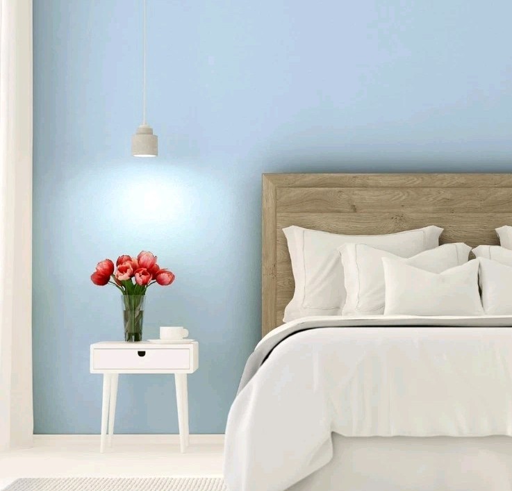 RUST-OLEUM Paint & Primer Interior Wall Eggshell Sky Blue 380225, 1 Gallon