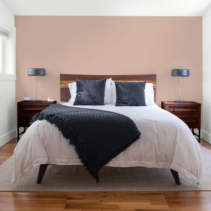 Premium One Coat Interior Paint Low Odor Low VOC Excellent Coverage Washable New