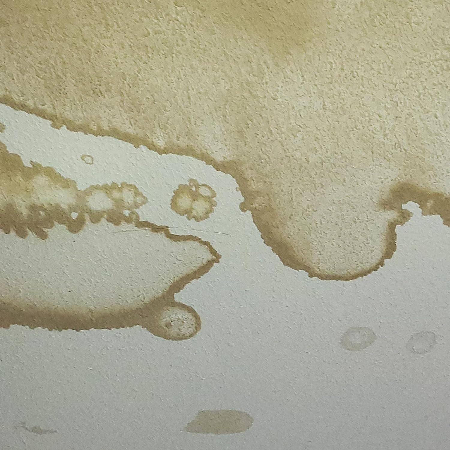 Premium Stain Primer & Sealer – Ultimate Protection for Your Surfaces