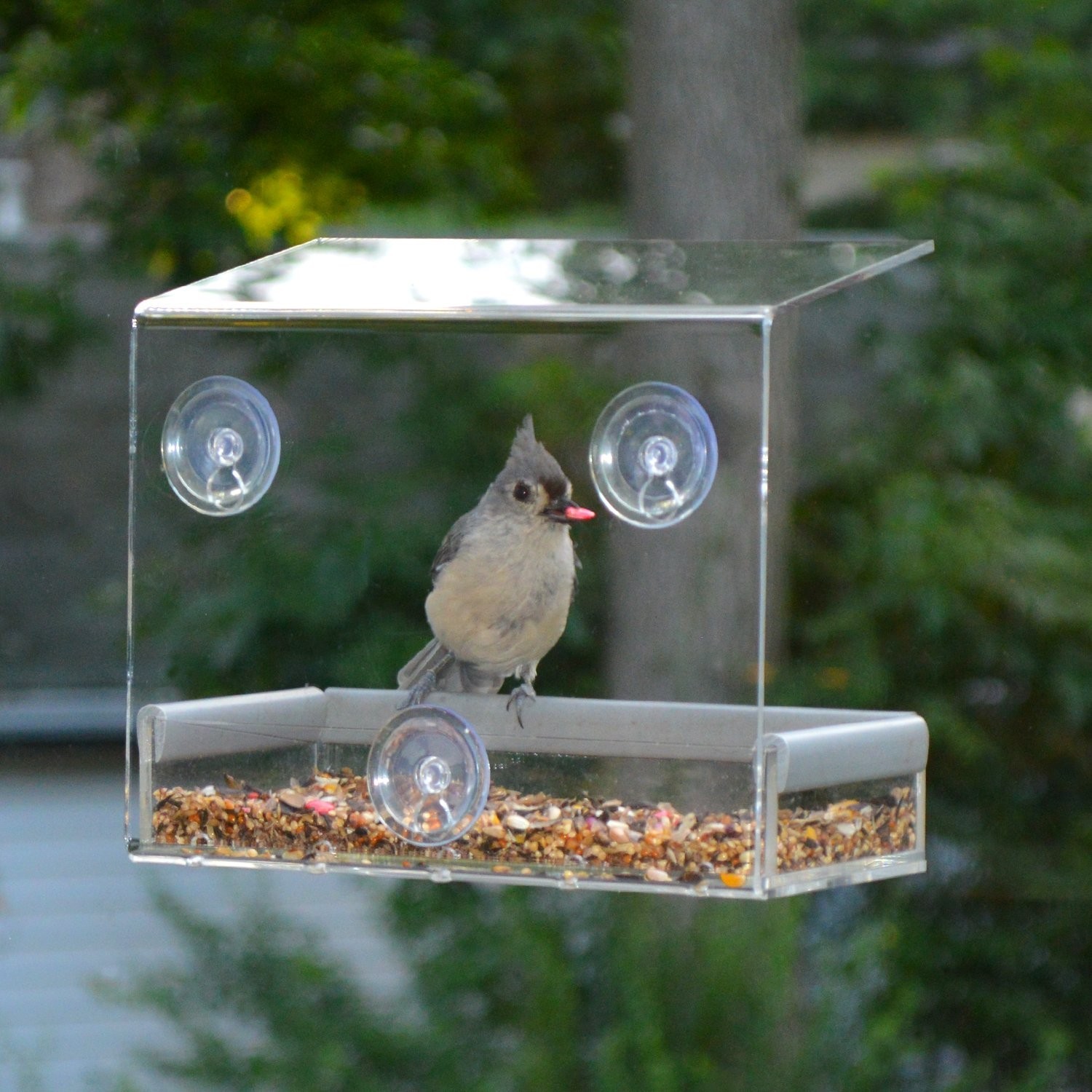 PetFusion Tranquility Window Bird Feeder in Premium Lucite Acrylic. (I) Remov…