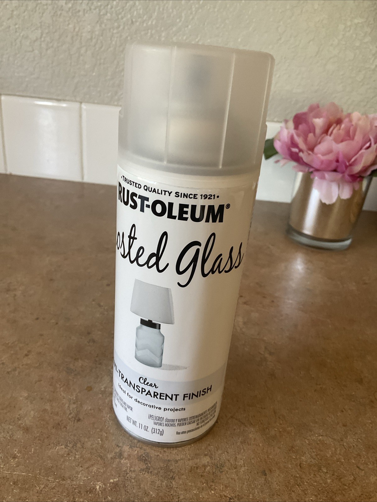 Rust-Oleum Specialty Gloss FROSTED GLASS Spray Paint 11 oz Privacy Décor Etched