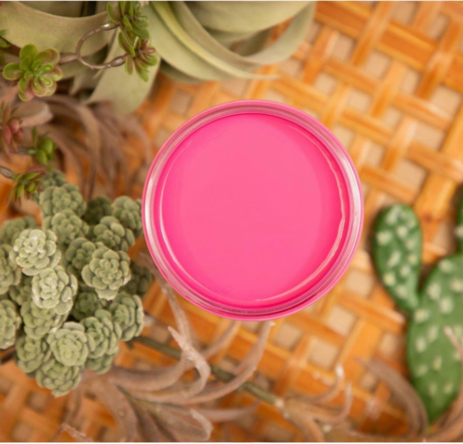 Dixie Belle Silk All In One Paint Prickly Pear Pink 16oz With Primer & Top Coat