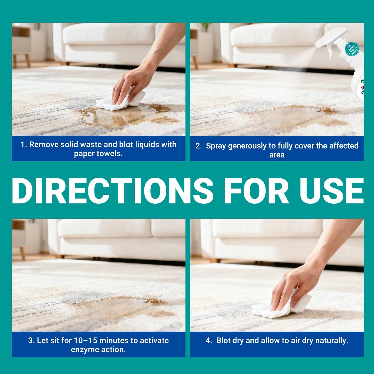Stain & Strong Odor Eliminator, Enzyme Cleaner, Pet Odor Eliminator for Home – C