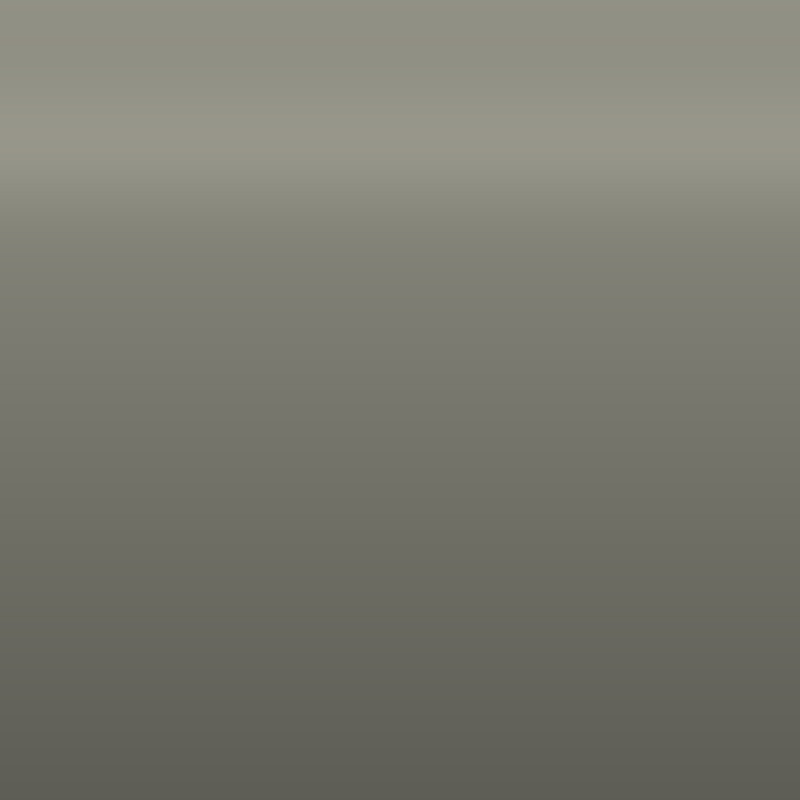 Automotive Touch Up Paint Mercedes-Benz Stone Gray P07