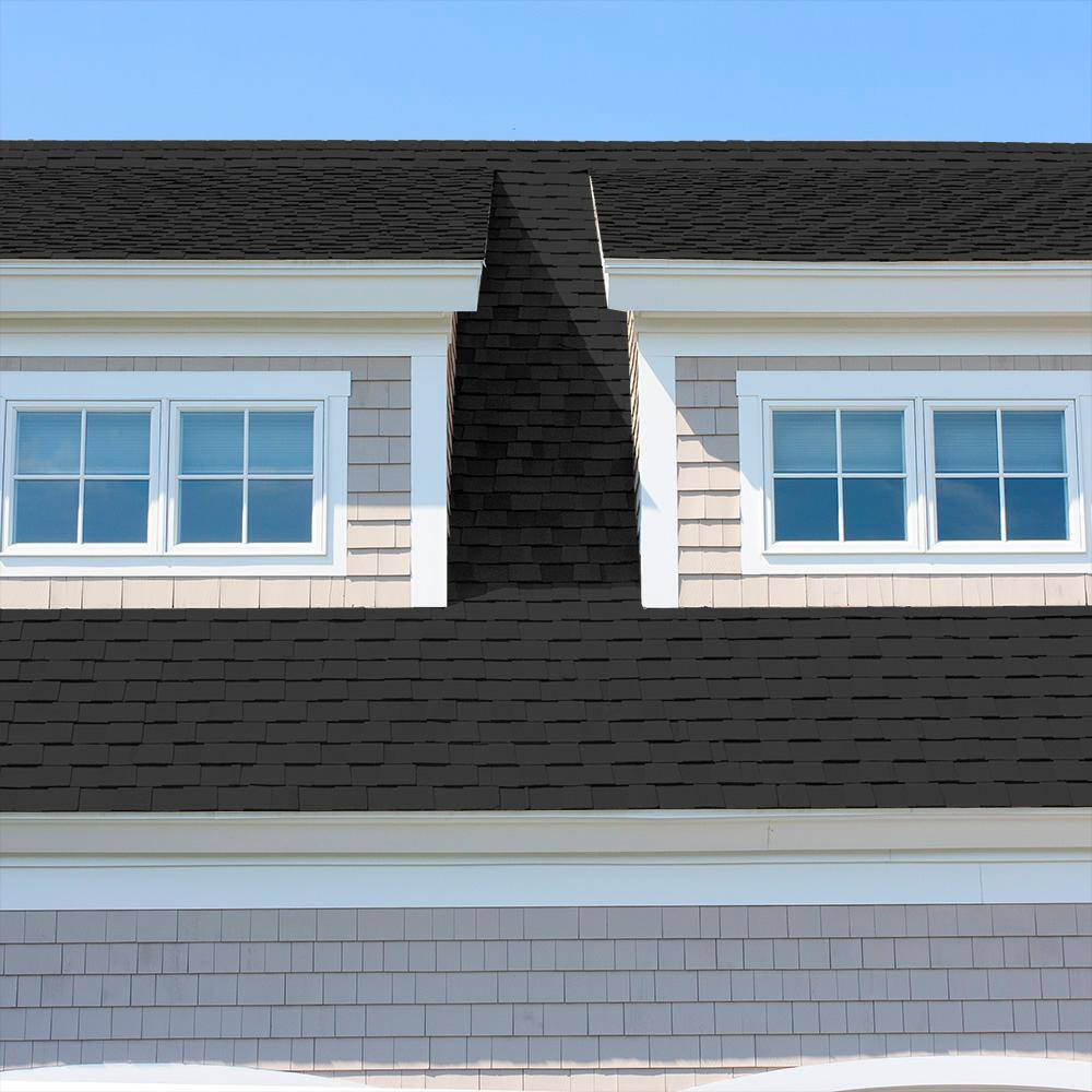 5 Gal. Black Flat Multi-Surface Exterior Roof Paint