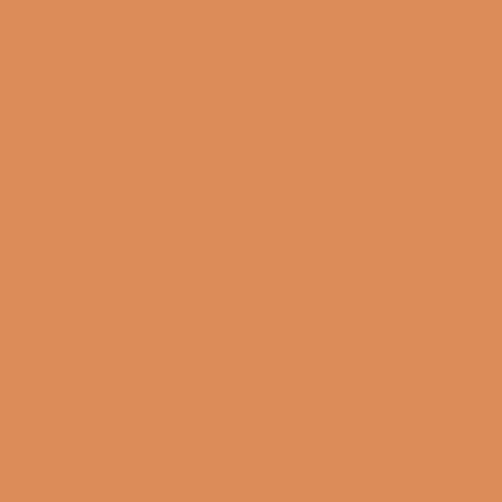 Kitchen Bath & Laundry Carrot Cake / Orange Eggshell Interior Paint W/ Primer