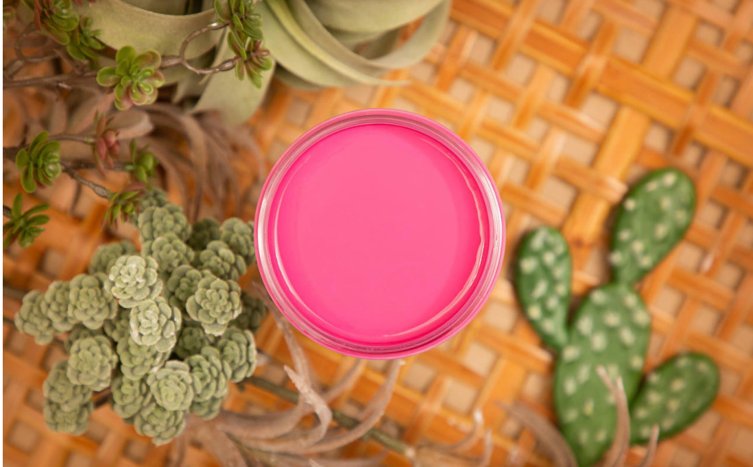 New Sealed Prickly Pear Dixie Belle Silk All-in-One Mineral Paint 16oz