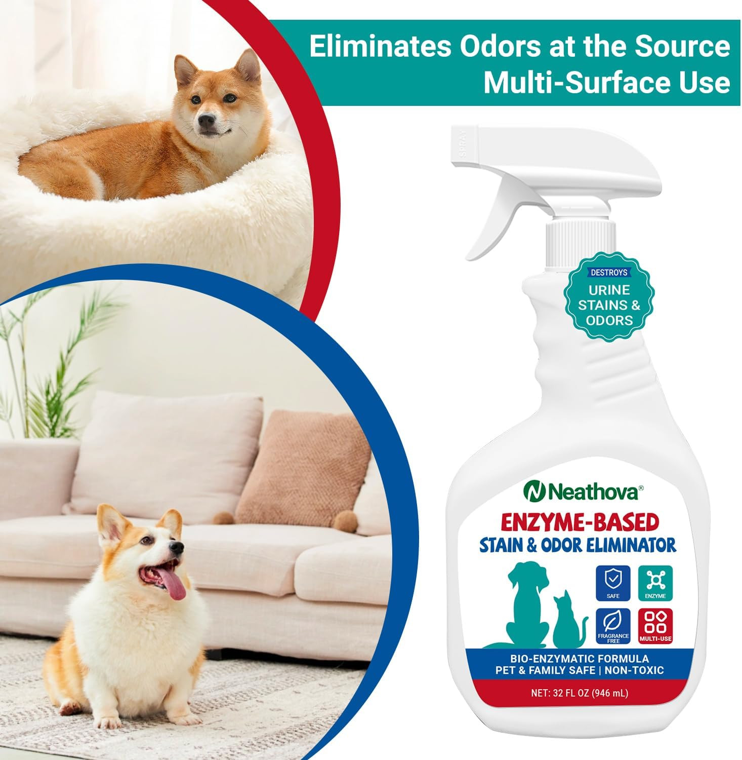Stain & Strong Odor Eliminator, Enzyme Cleaner, Pet Odor Eliminator for Home – C