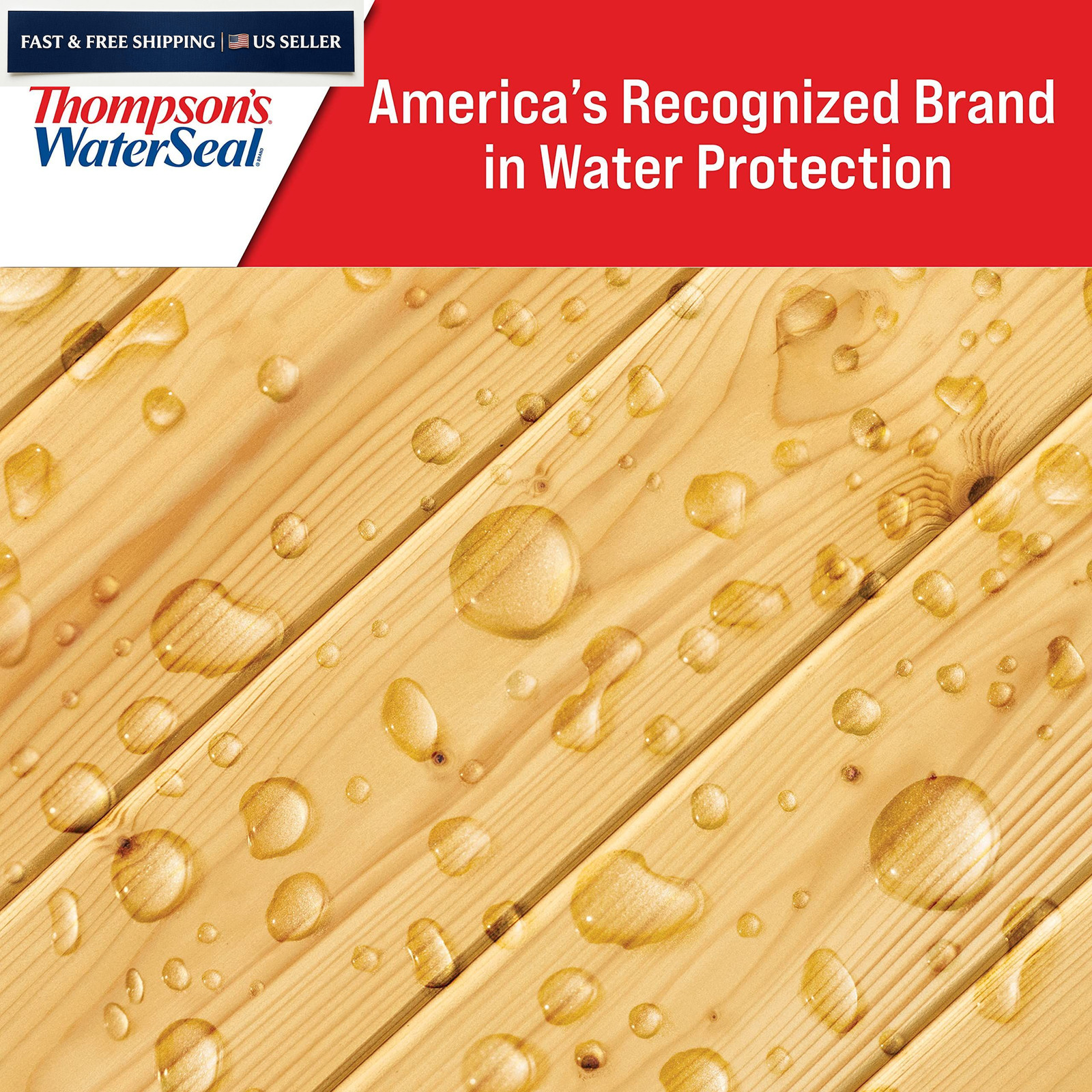 Thompson’s WaterSeal Multi-Surface Waterproofer Stain, Clear, 1 Gallon, Clear