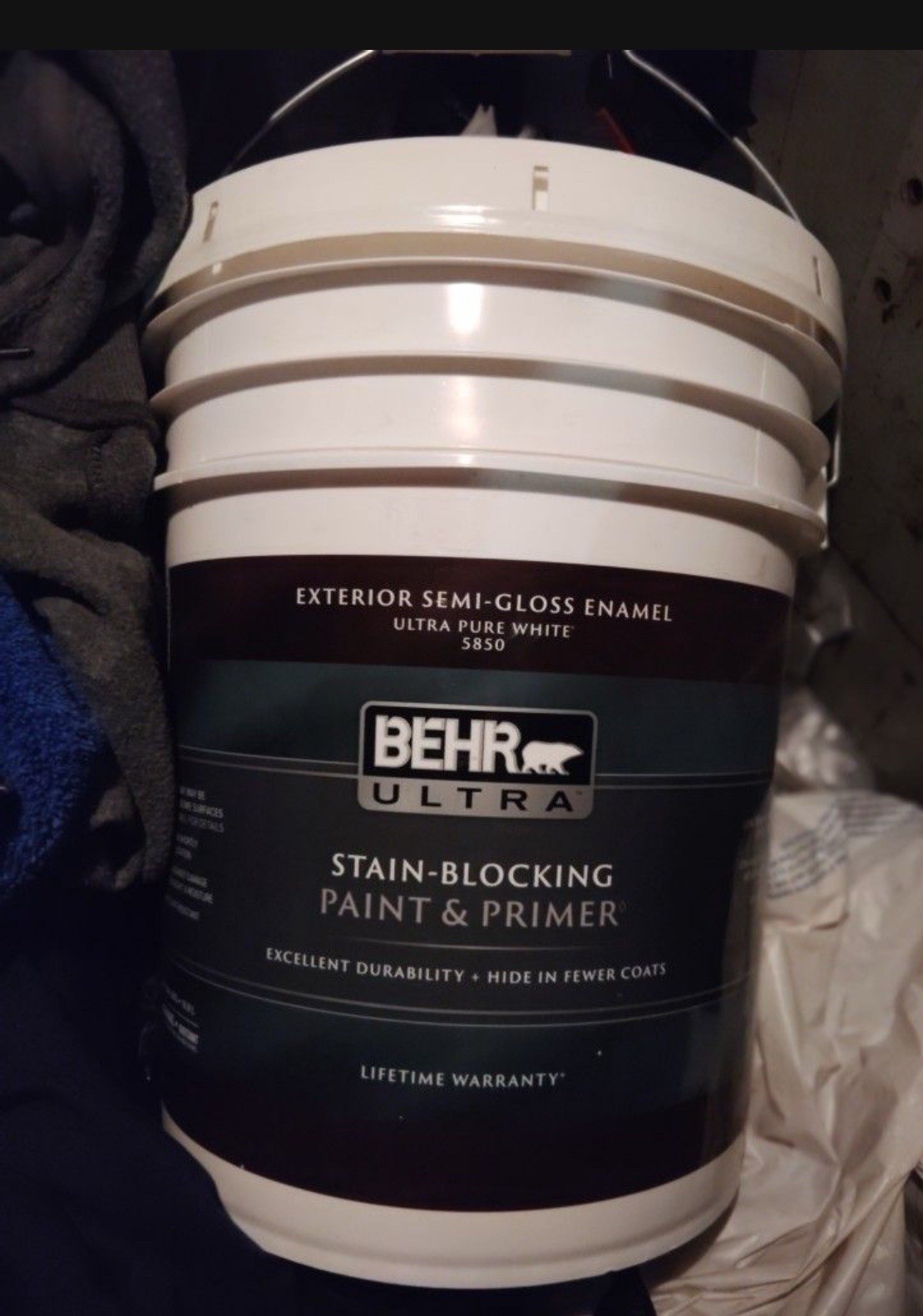 Bear Ultra White Exterior Paint