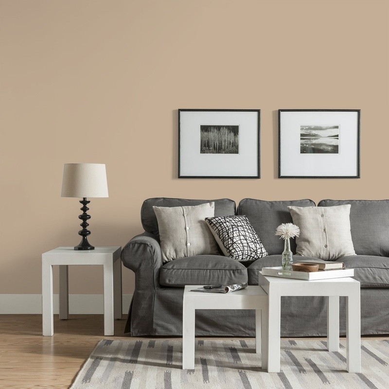 Low VOC Washable Interior Paint Multi-Surface Use Soft Beige Eggshell Finish
