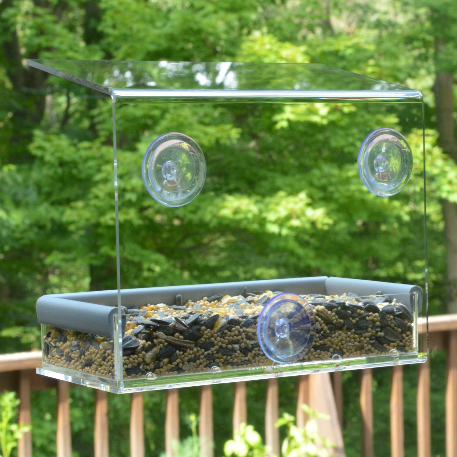 PetFusion Tranquility Window Bird Feeder in Premium Lucite Acrylic. (I) Remov…