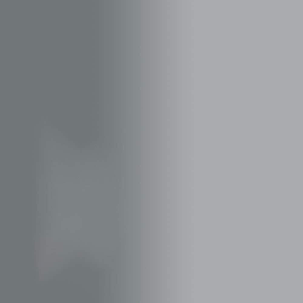 Rust-Oleum Stops Rust Metallic Silver Metallic Spray Paint 11 oz