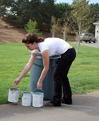 Rock Solid Paint Hardener/Solidifier (5 Gallon Pail) for drying waste or left…