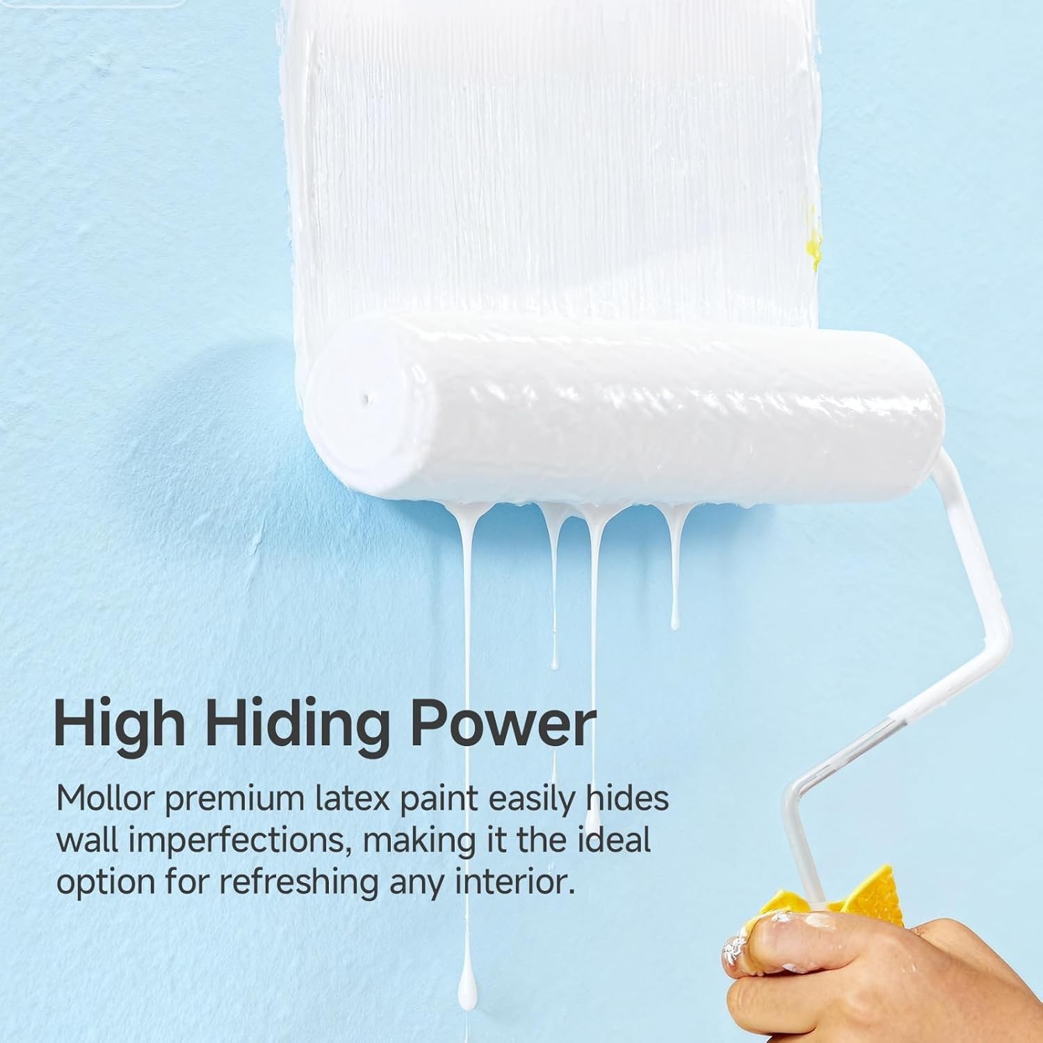 White Interior Exterior Wall Paint 16 Oz Acrylic Latex No Sanding Low Odor Quick