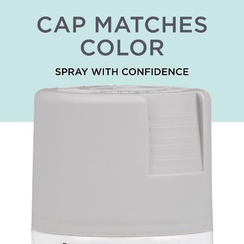 Rust-Oleum 12oz Chalked Ultra Matte Spray Paint