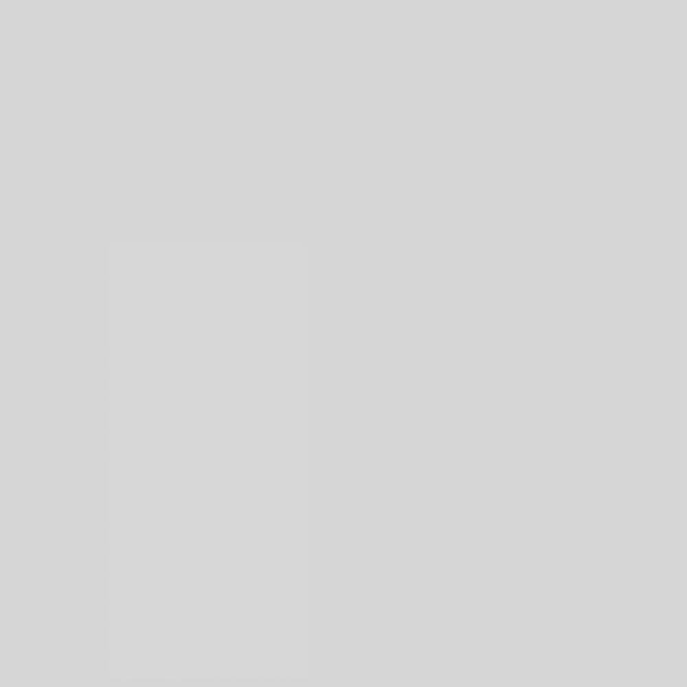 Rust-Oleum Professional Cold Gray Galvanizing Compound Spray Paint 20 Oz 7585838