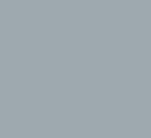 Rusty Metal Primer Spray Paint 12 oz Light Gray Rust Converter Automotive Rust