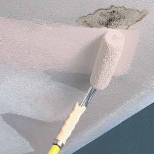 Kilz Stainblocking Ceiling Paint Interior White 1 Gallon 68041