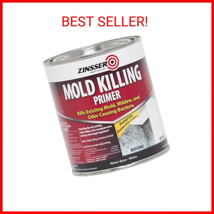 qt Zinsser 276087 White Zinsser, Mold Killing Primer Water-Based Mold Killing Pr