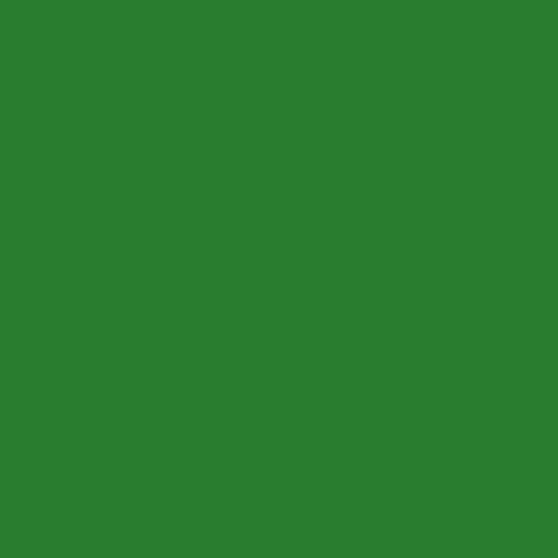 DA1630 Multi-Purpose Acrylic Enamel Spray Paint – Leaf Green – 12 Oz. Aerosol Ca
