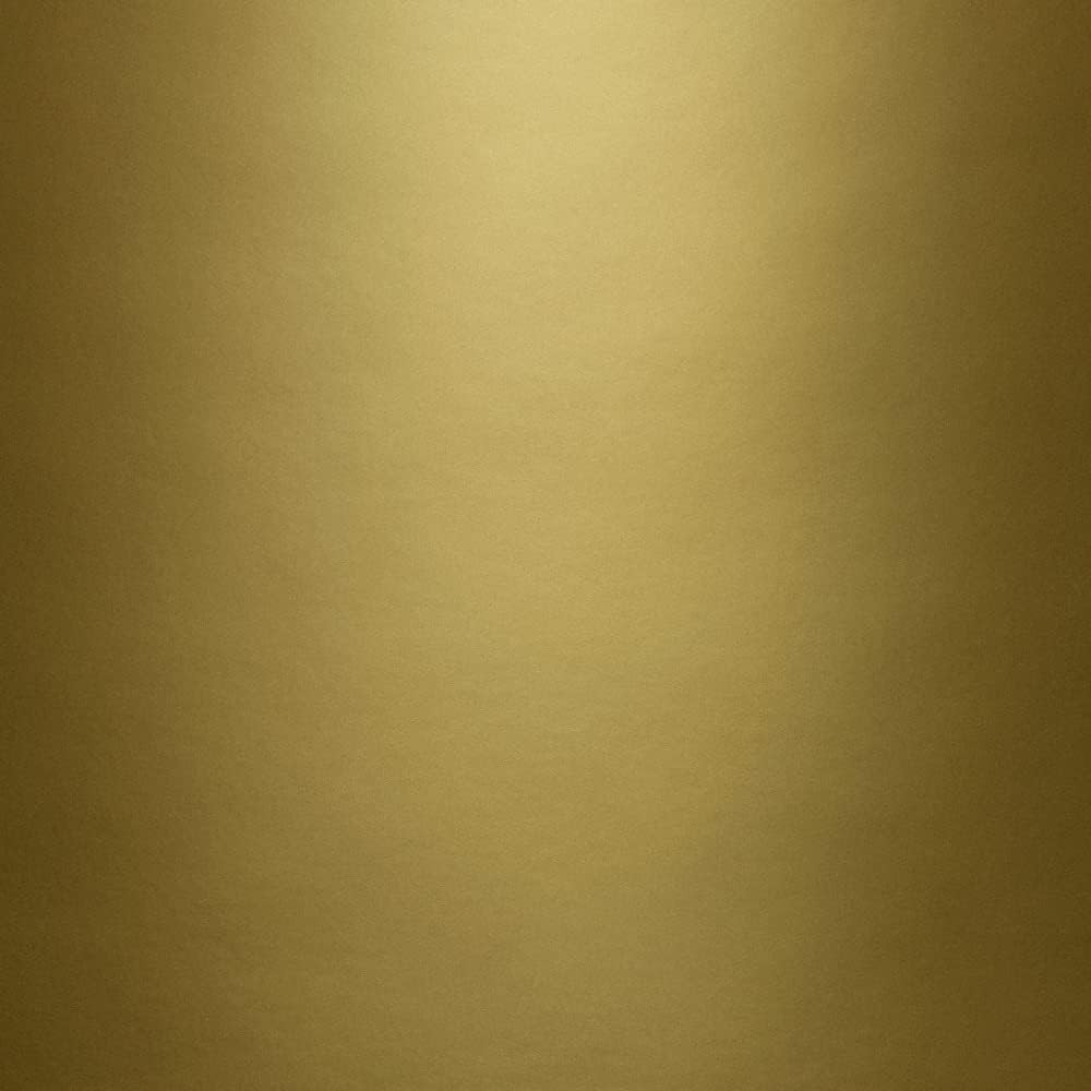 General Purpose Spray Paint Metallic Brass