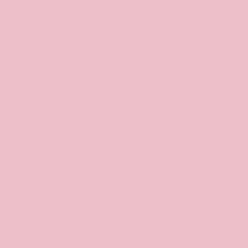 Low VOC Interior Paint Good Coverage Washable Pink Wall Paint Fast Drying 1Quart
