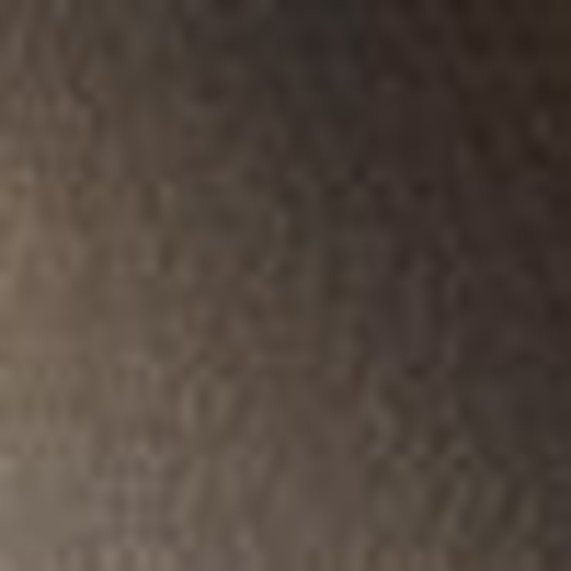 All Surface Interior/Exterior Hammered Dark Bronze Spray Paint Rust Protection