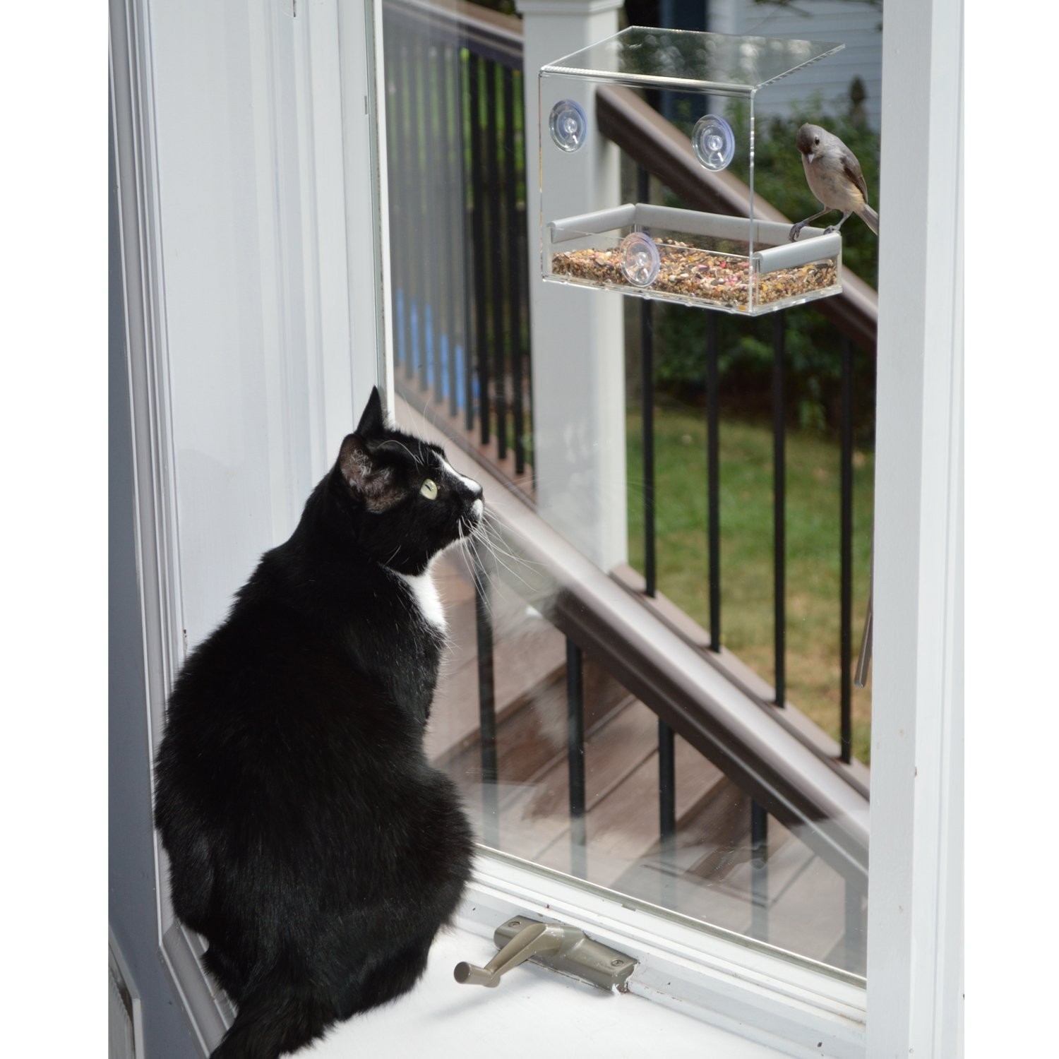PetFusion Tranquility Window Bird Feeder in Premium Lucite Acrylic. (I) Remov…