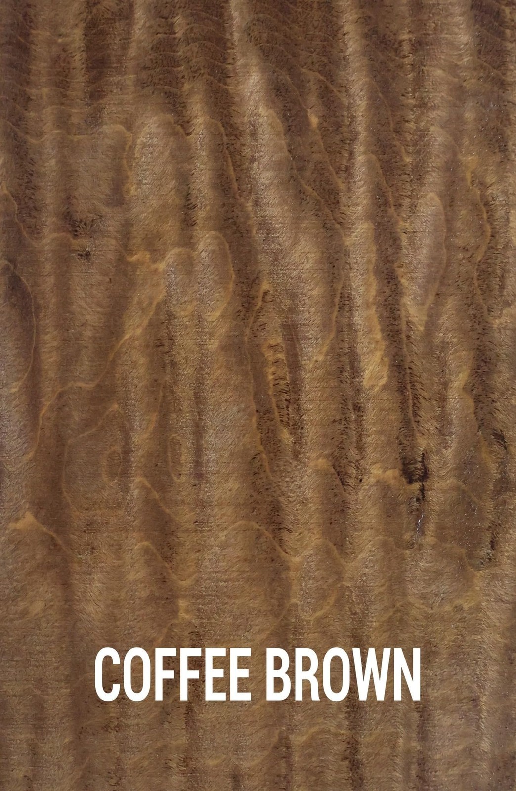 TransTint Dyes, Coffee Brown