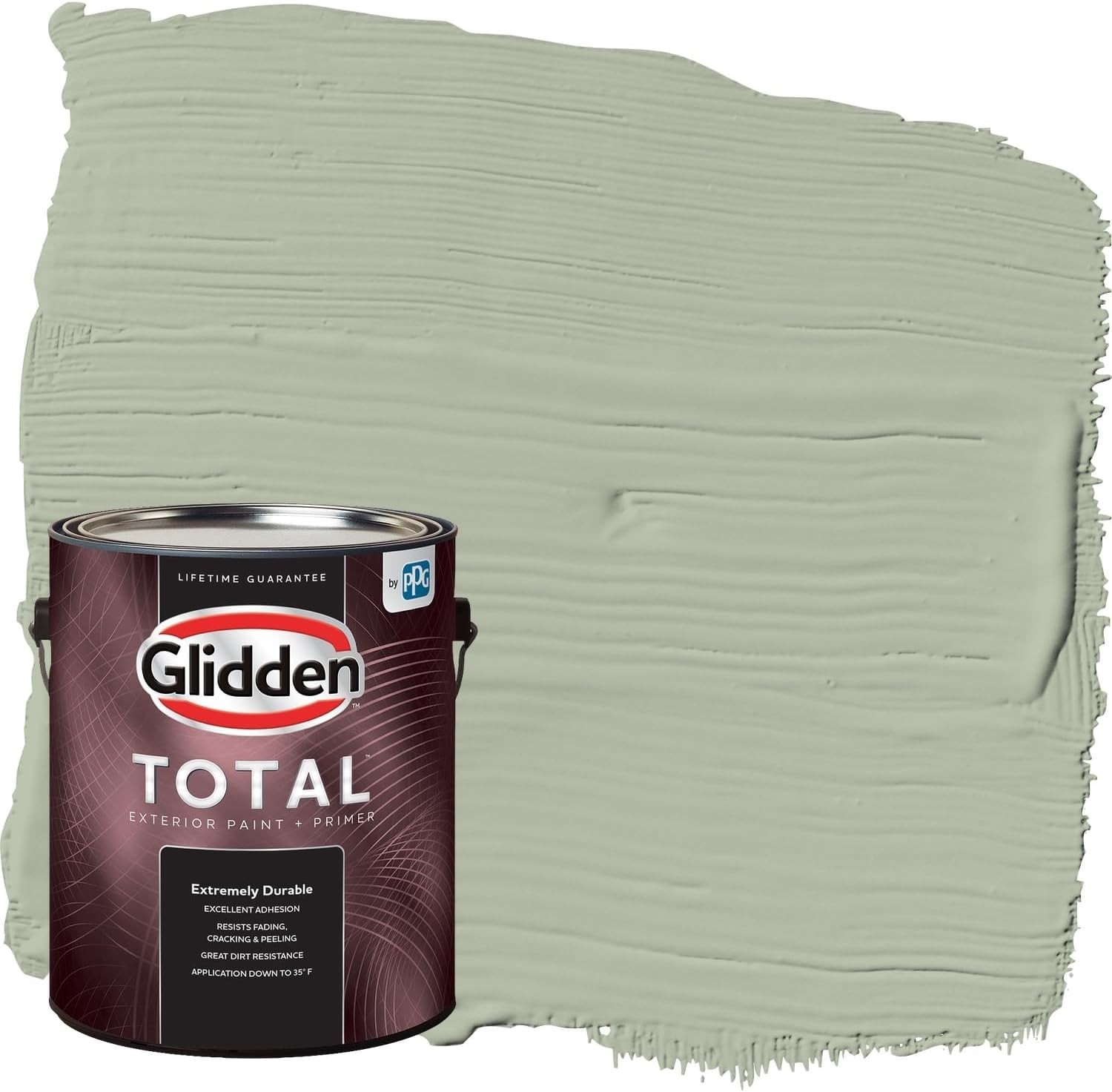 Total Exterior Paint & Primer, Durable Light Sage, Flat/`