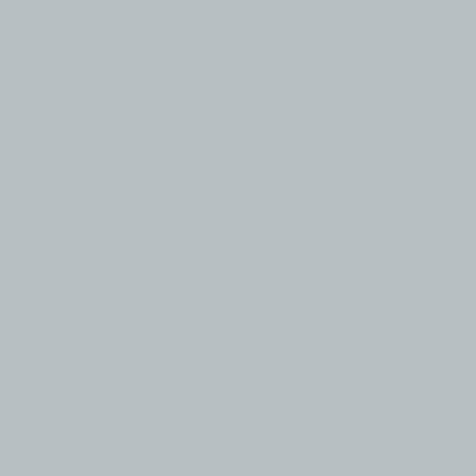 Gray Frost / Grey Flat Interior Paint W/ Primer 1 Gallon