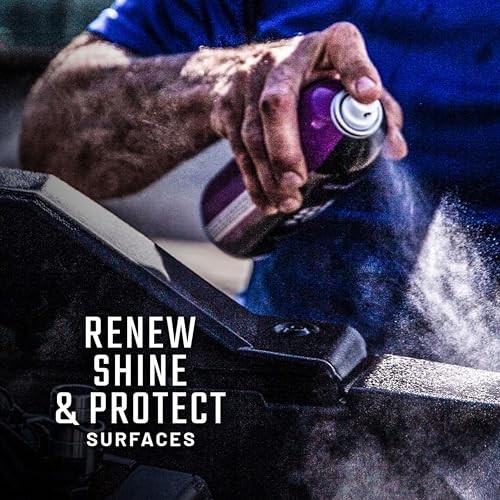 Shine & Protectant Spray 17.35 FL OZ. – High 1-Can (1 x 17.35-Fl. Oz. Can)