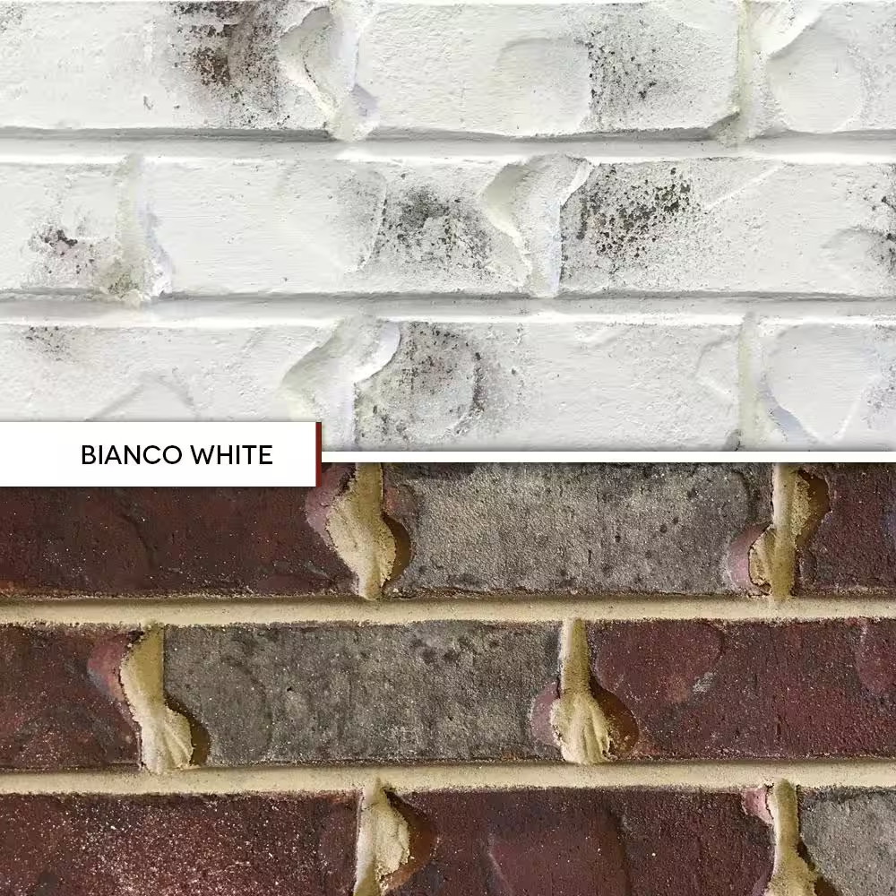 4 Gal. Bianco White Limewash Interior/Exterior Paint