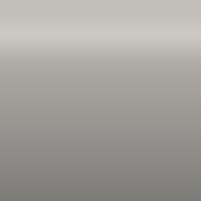 Automotive Touch Up Paint Nissan Light Pewter Metallic 210
