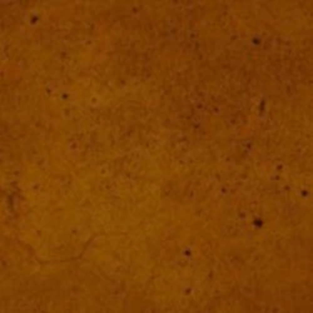 Ten Second Color – Hazelnut – 1 Gallon