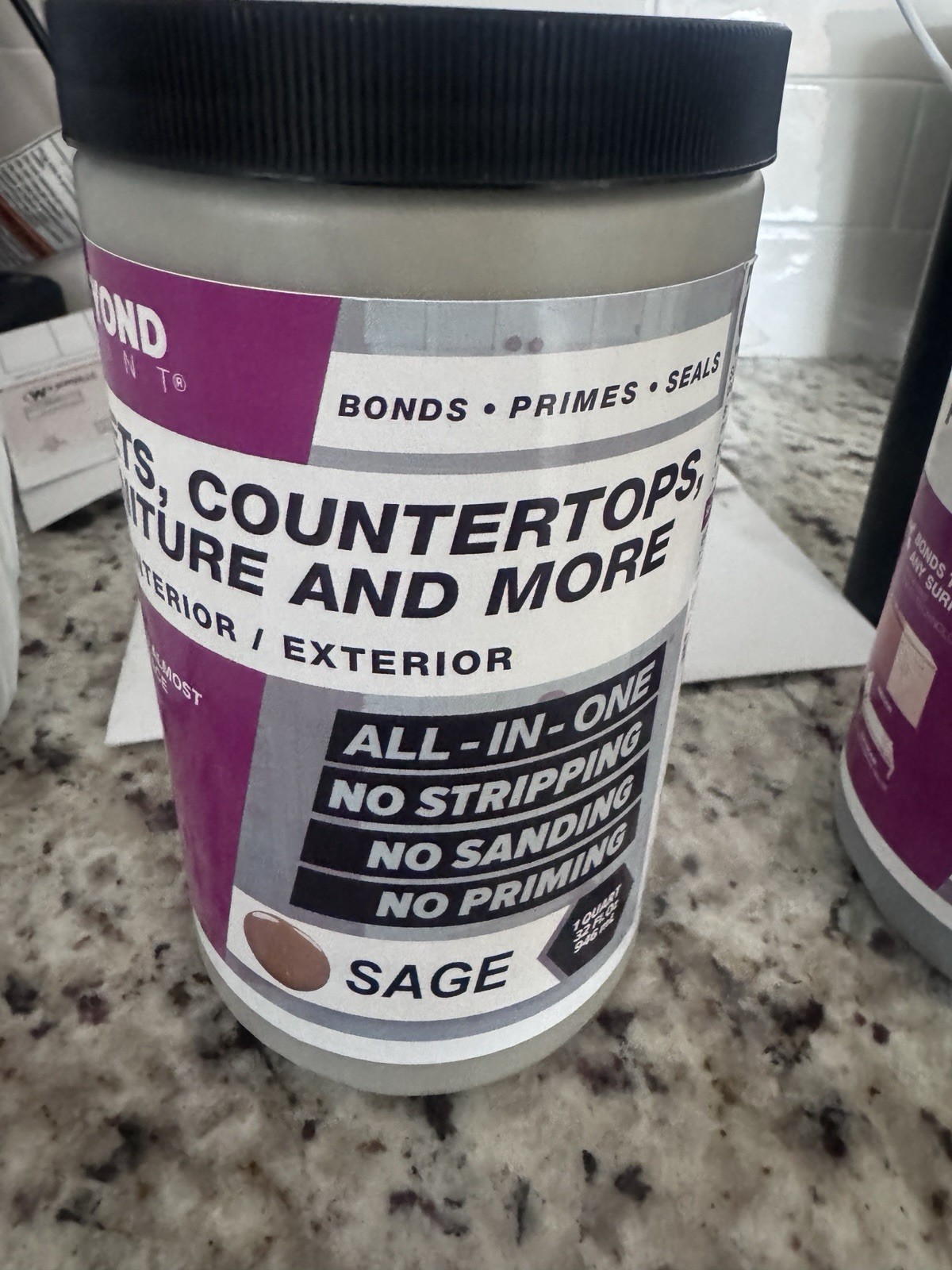 Beyond Paint Sage 1 Quart Interior/exterior All In One