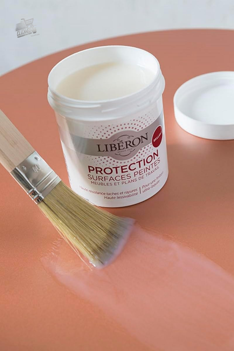 Colorless Matte Protective Paint 0.5L