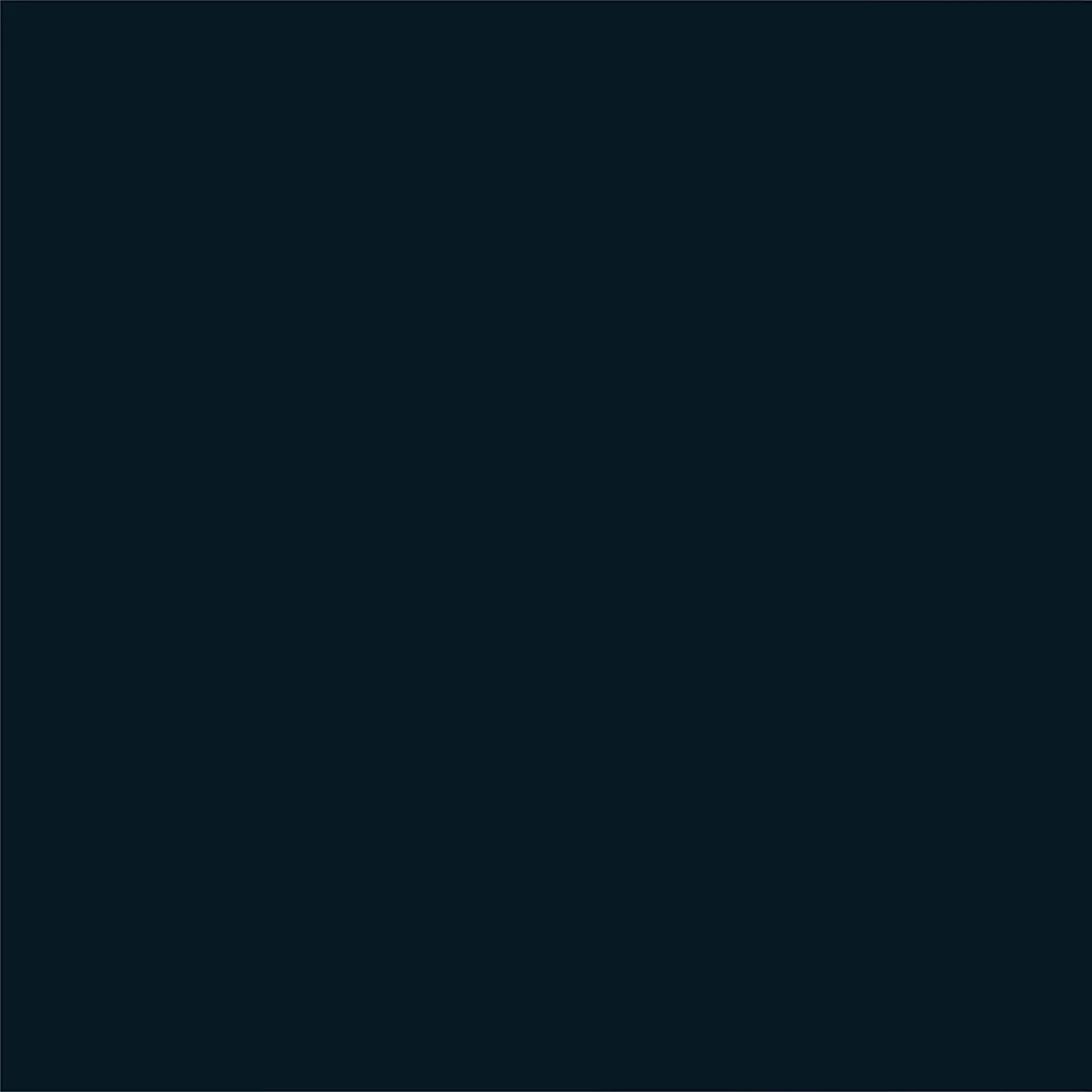 Krylon Fusion All-In-One Satin Black 12 oz. Spray Paint, Multi-Surface (2 PACK)