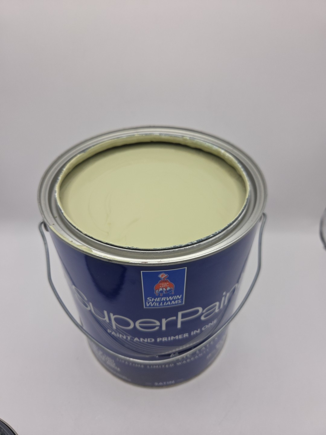 1 Gallon Sherwin Williams SuperPaint Paint And Primer In One Satin Color Sage…