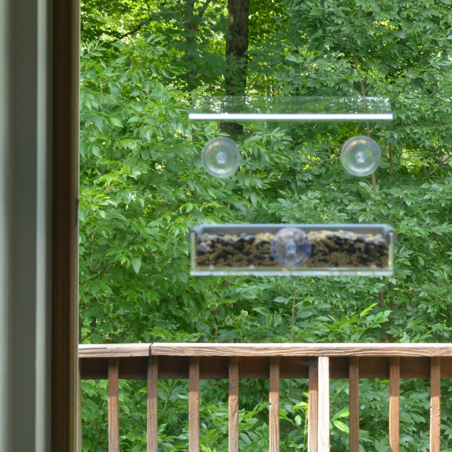 PetFusion Tranquility Window Bird Feeder in Premium Lucite Acrylic. (I) Remov…